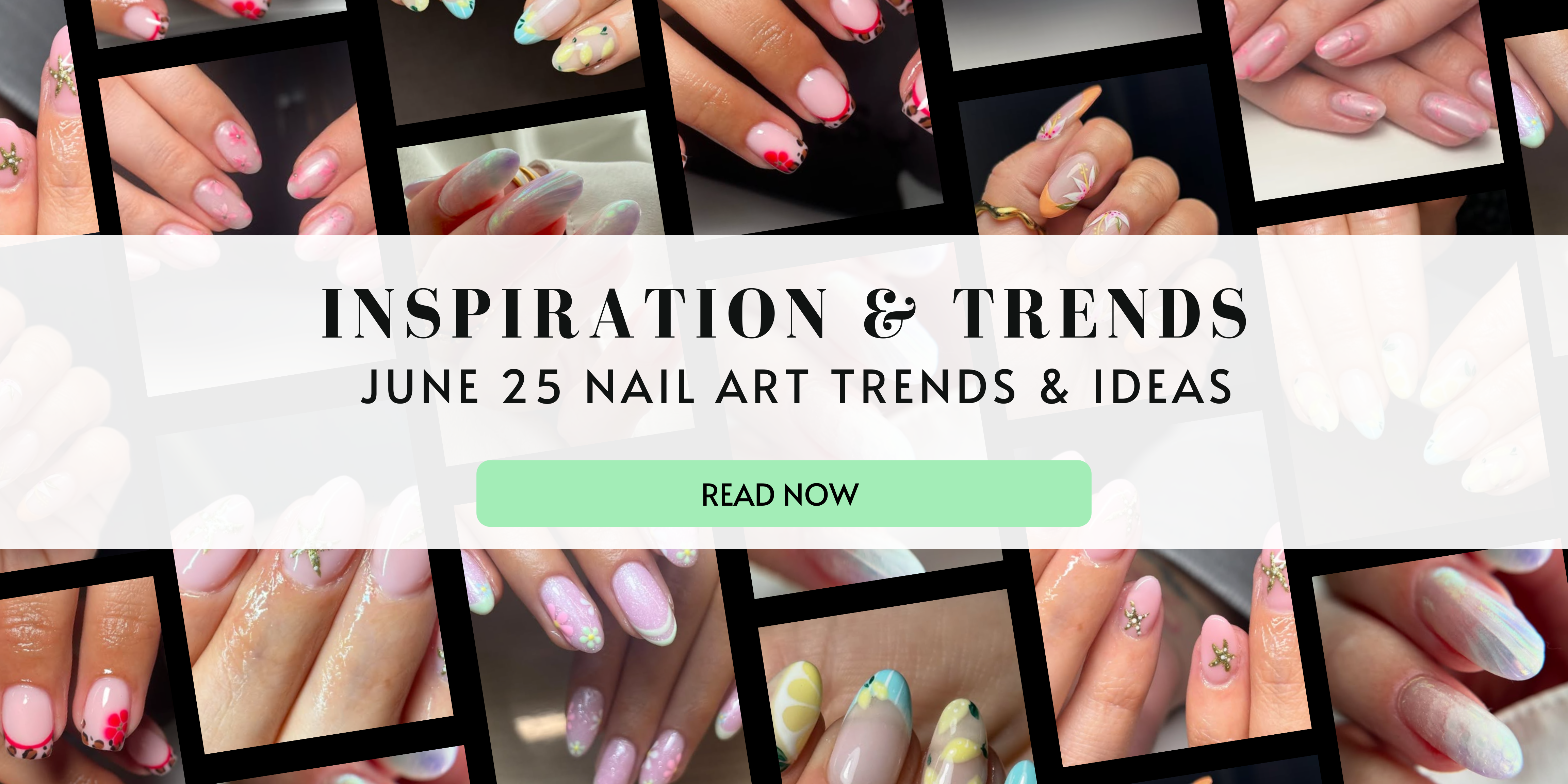 June 2025 Inspiration & Trends