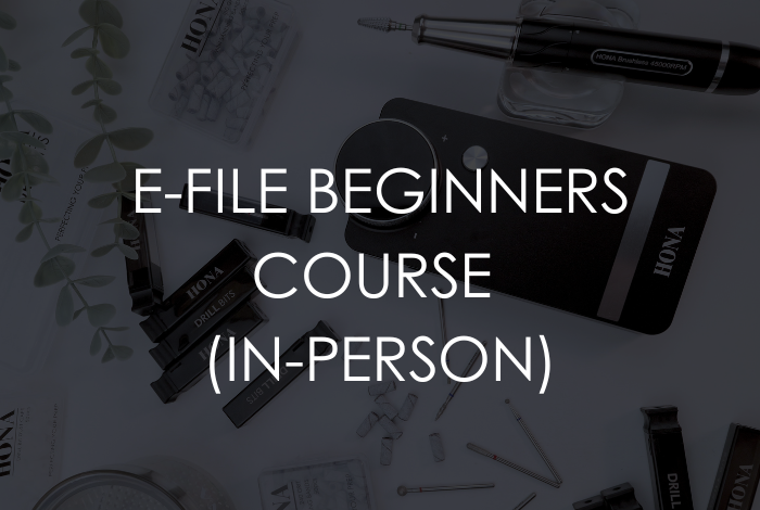 E-File Beginners Course (In-Person)