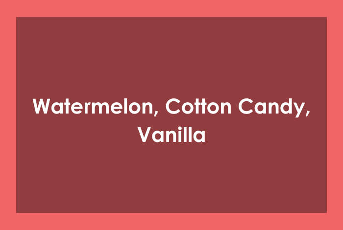 HONA Hand Sanitiser 50ml - Watermelon Fizz